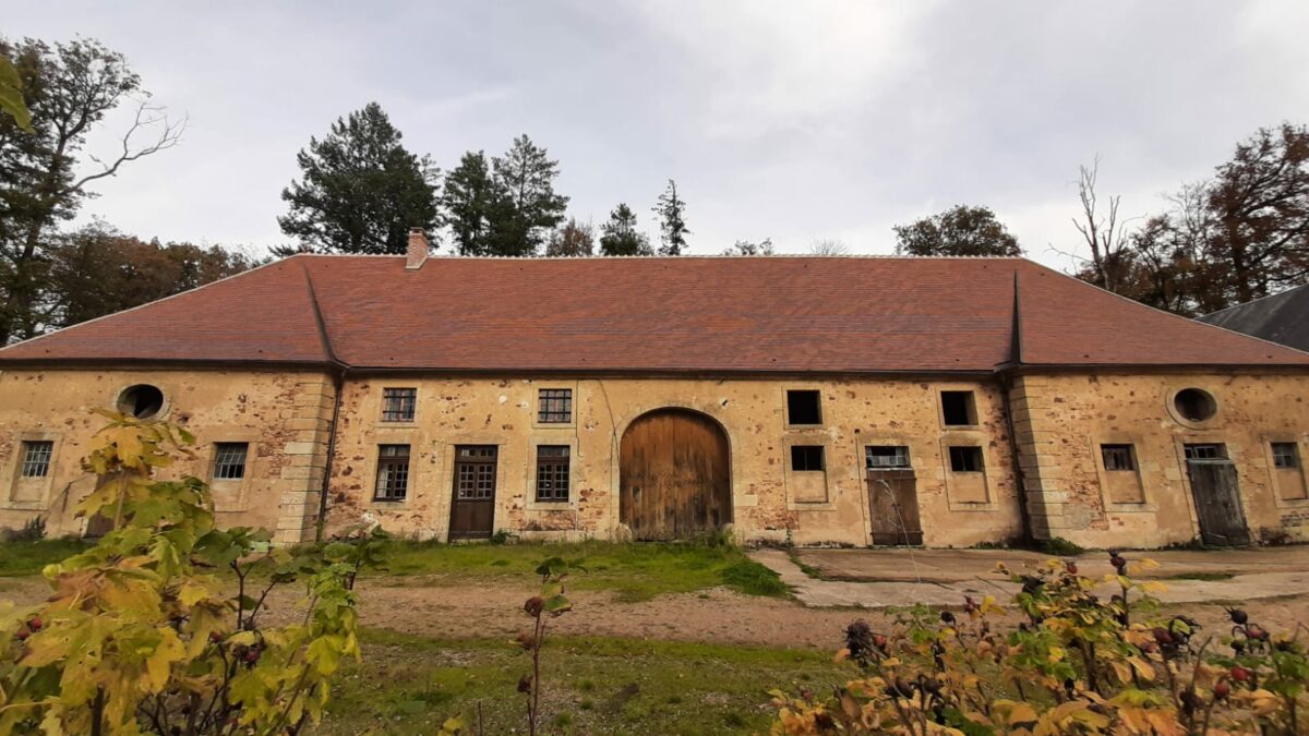 Stage d'été clown gestalt