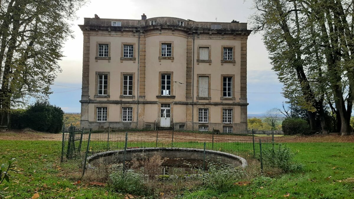 Stage d'été clown gestalt